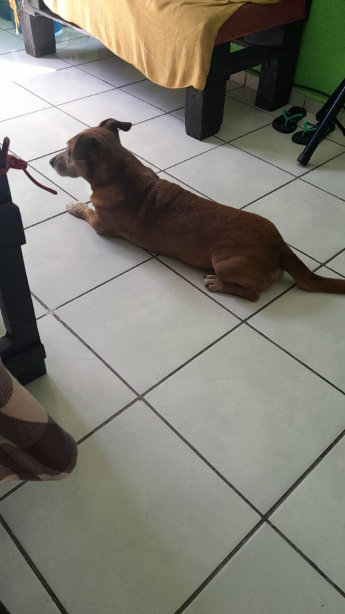 Coco