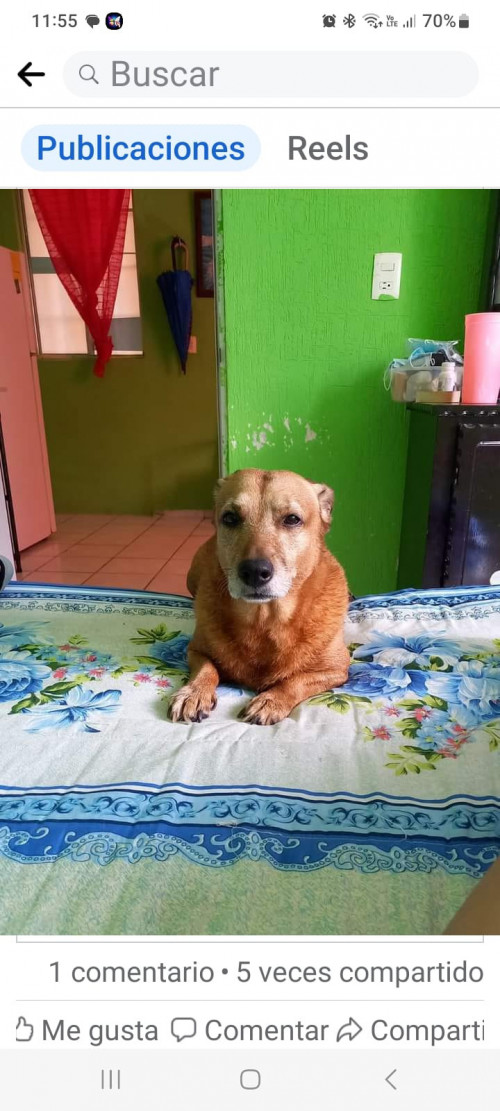 Coco
