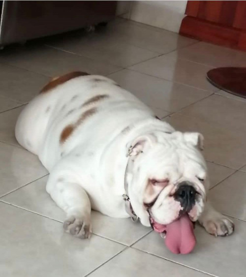 Dulce