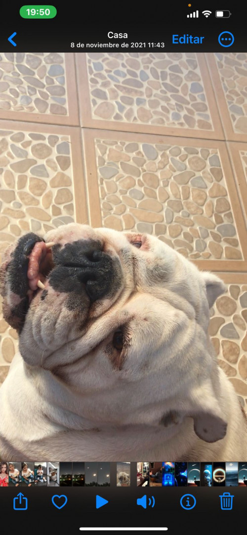 Dulce