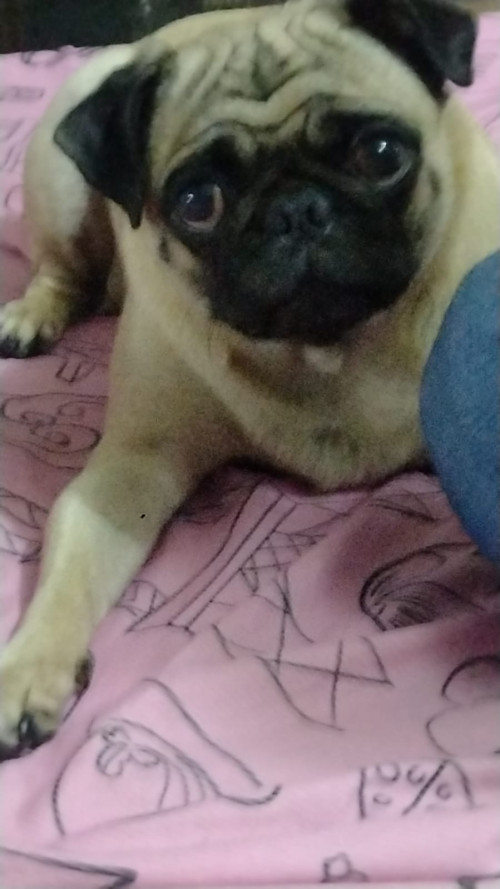 Abby