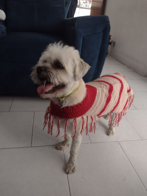 Toby