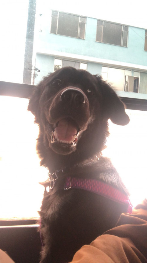 Kiara