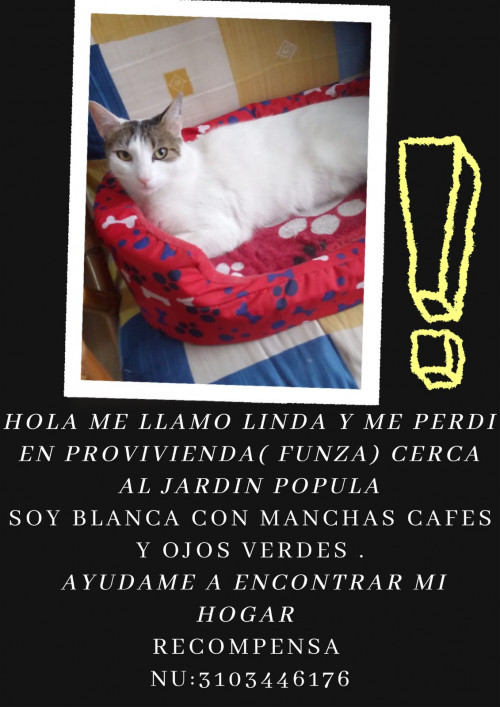 Linda