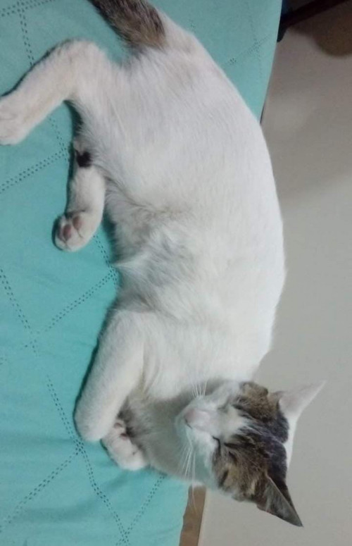 Linda