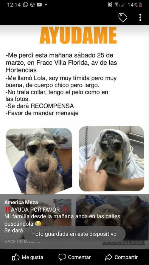Lola