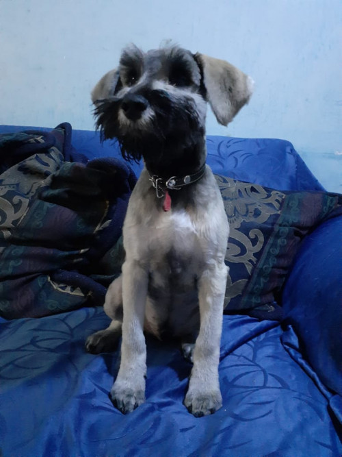 Jack