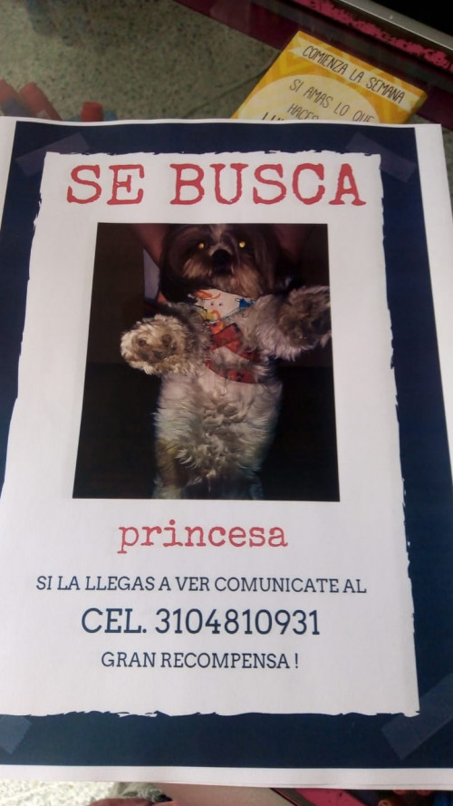 Princesa