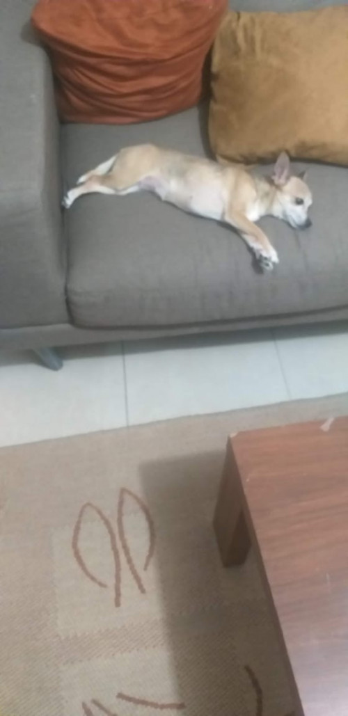 Consuelo