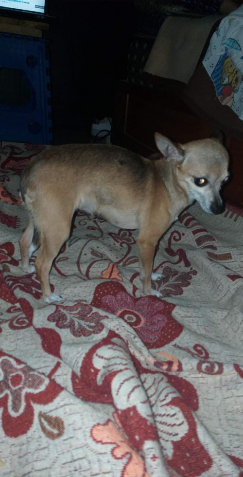 Consuelo