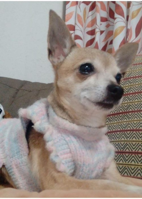 Consuelo