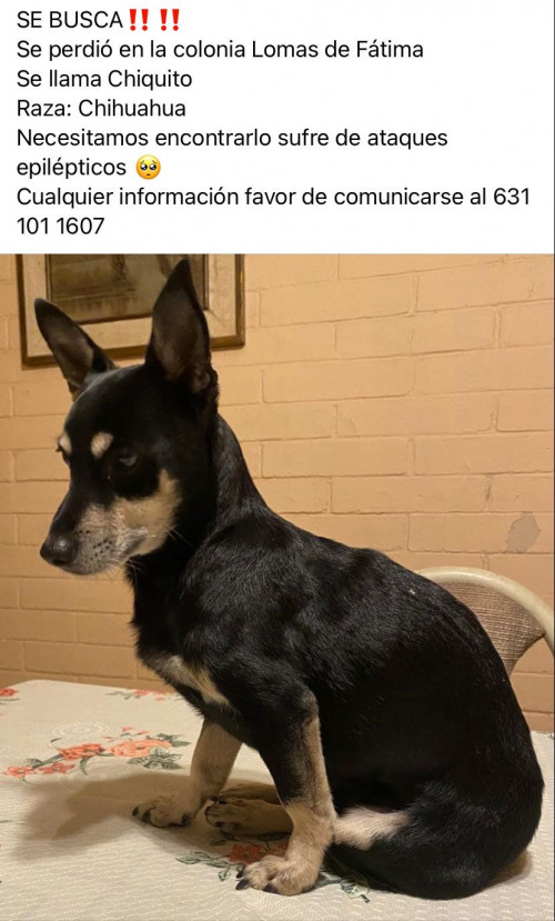 Chiquito