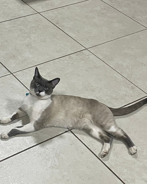 Milo