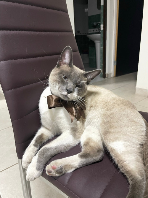 Milo