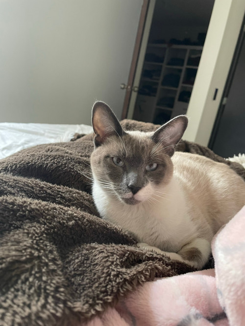 Milo