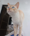 Foto de Kiva en San Luis Potosí San Luis Potosí #3