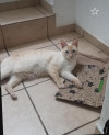 Foto de Kiva en San Luis Potosí San Luis Potosí #2