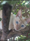 Foto de Kiva en San Luis Potosí San Luis Potosí #1