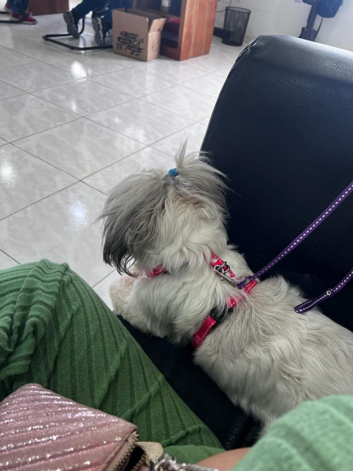 Toffee