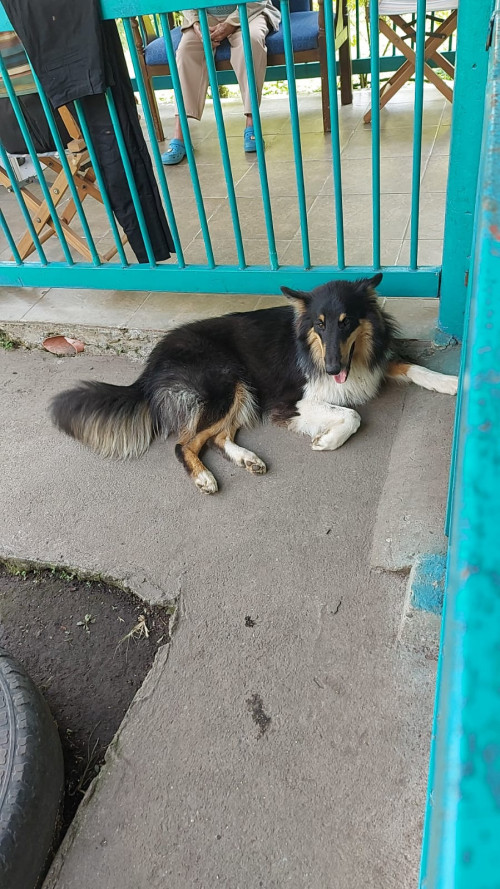 Max