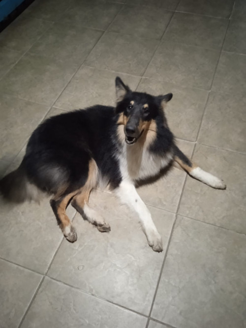 Max