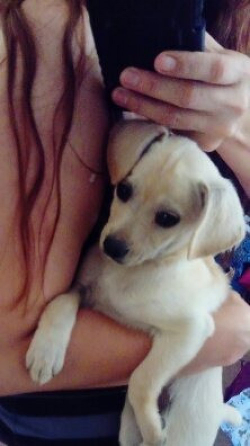 Fiodor