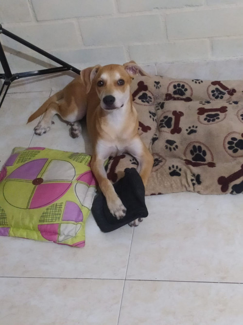 Tonny