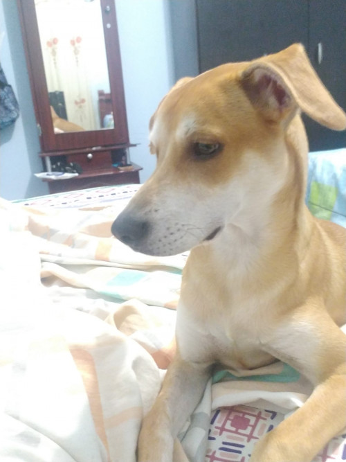 Tonny