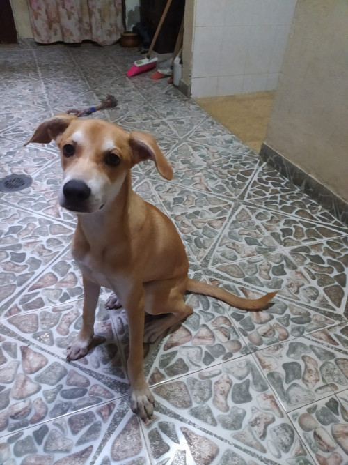 Tonny