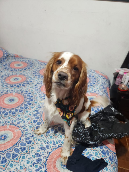 Max