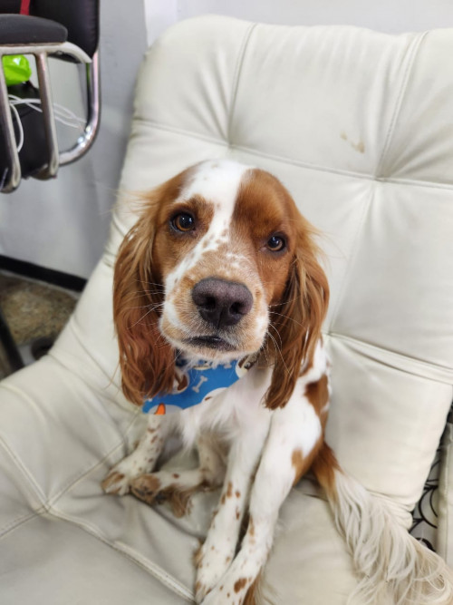 Max