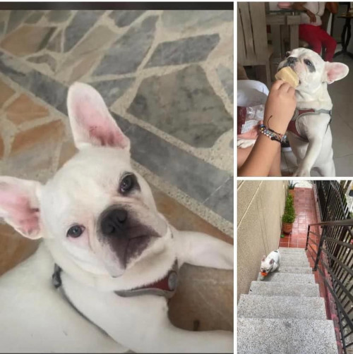Luky