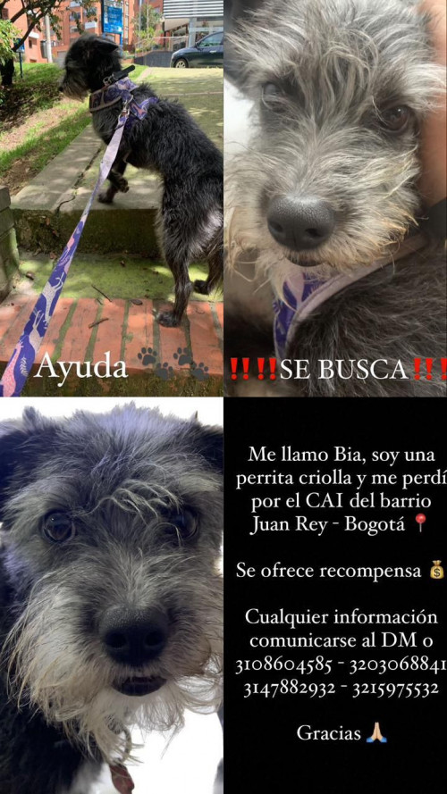 Bia