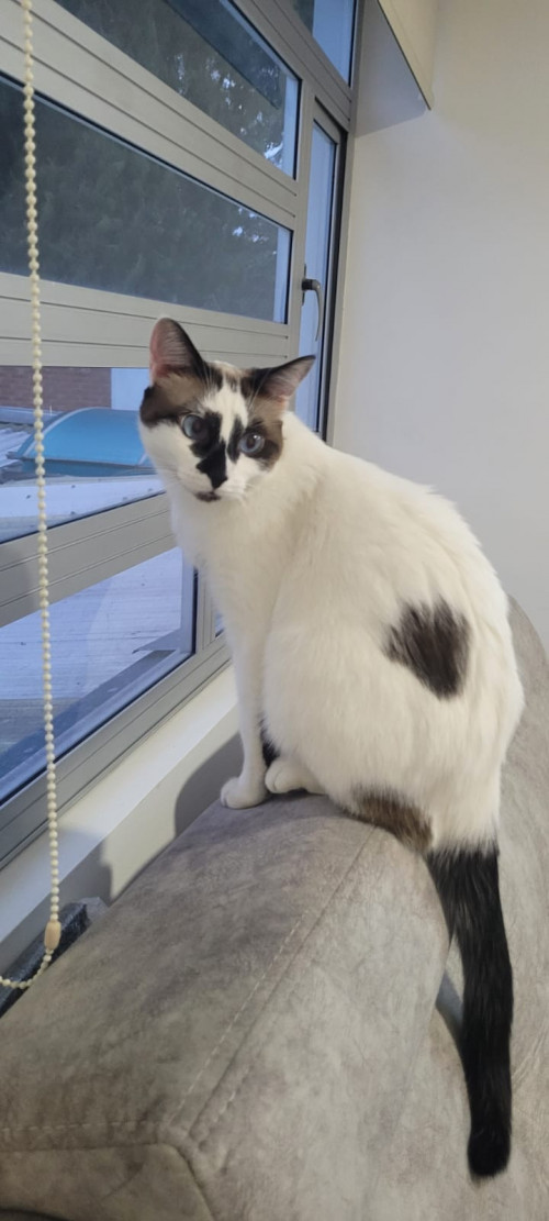 Kiara