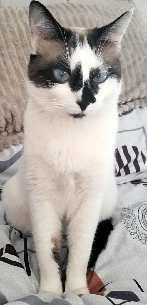 Kiara