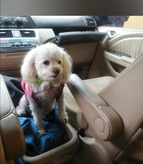 Chiquita