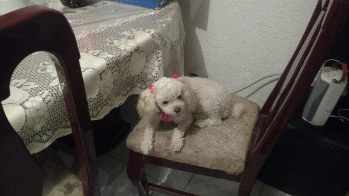 Chiquita
