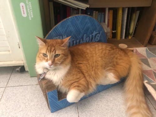 Matías