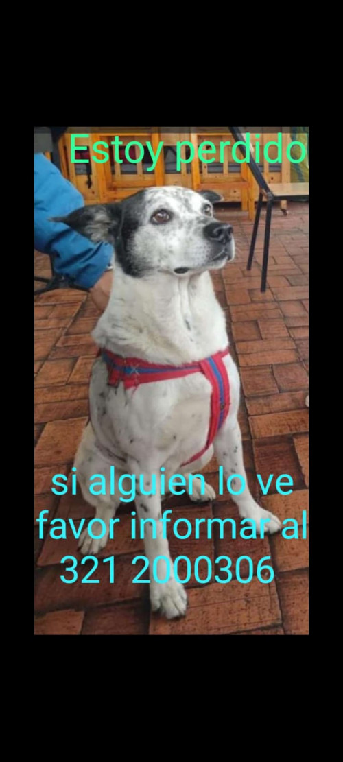 Zabas