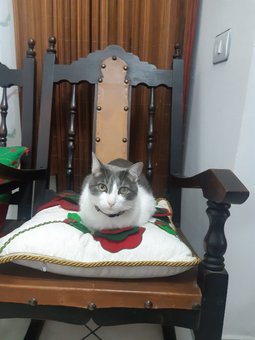 Manolo