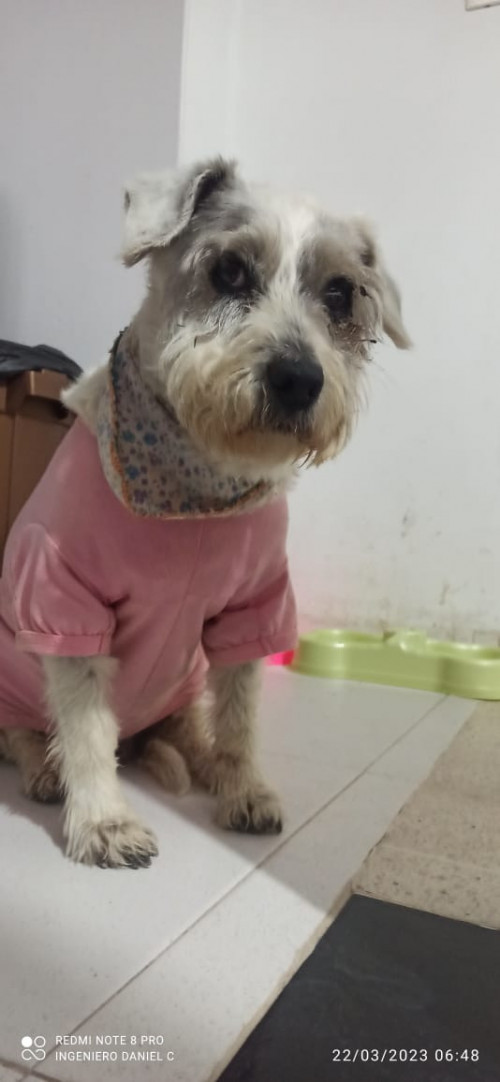 Marqueza