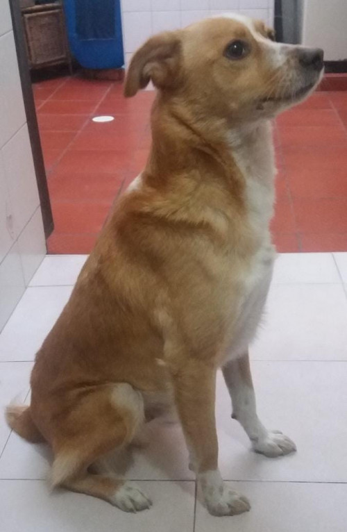 Max