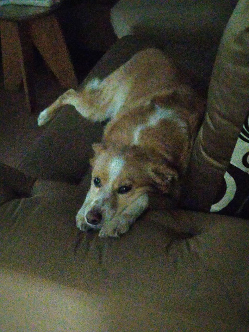 Max