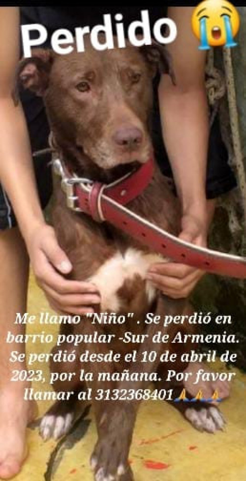 Niño