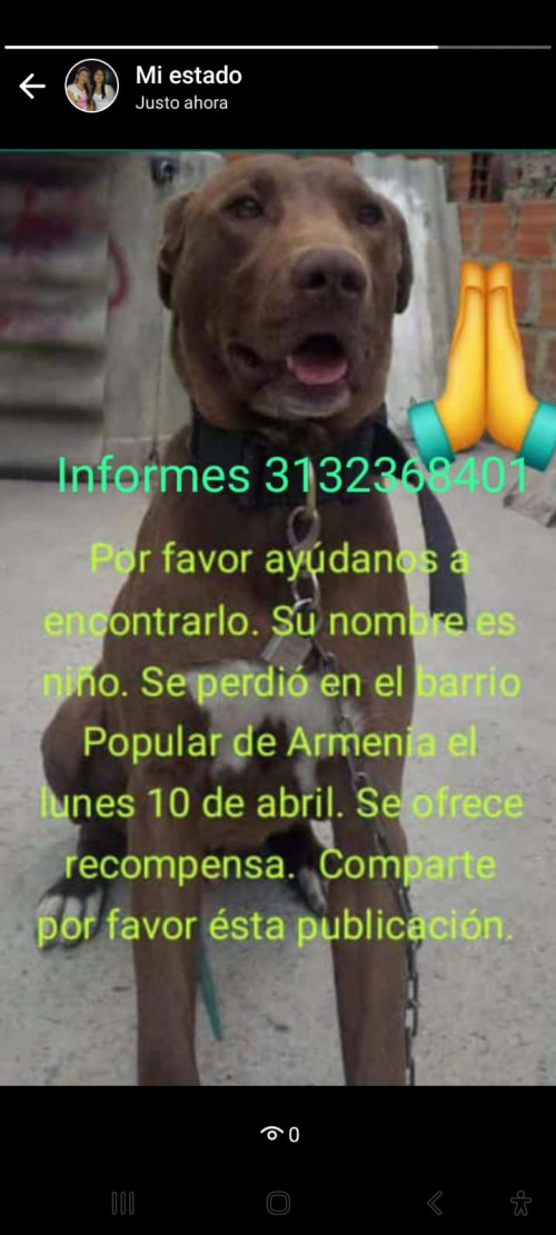 Niño