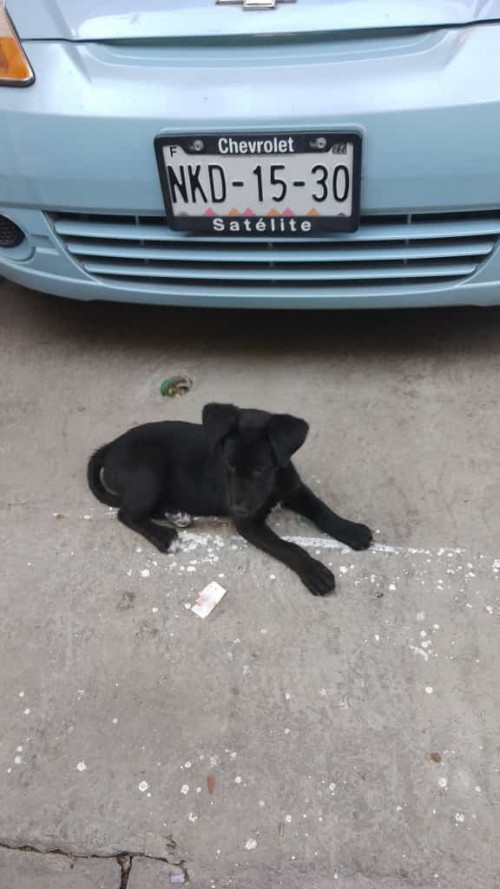 Max