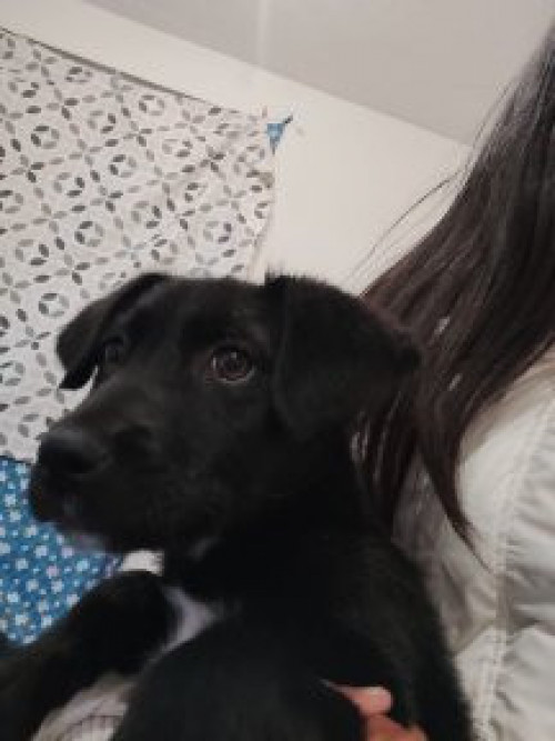 Max