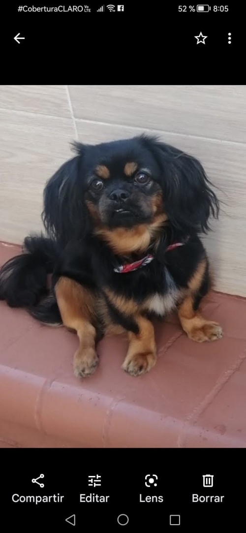 Niño