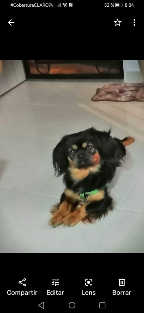 Niño