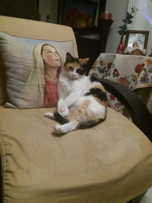 Lulú
